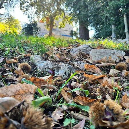 Il Trullo E Il Fortino Alberobello Exterior foto