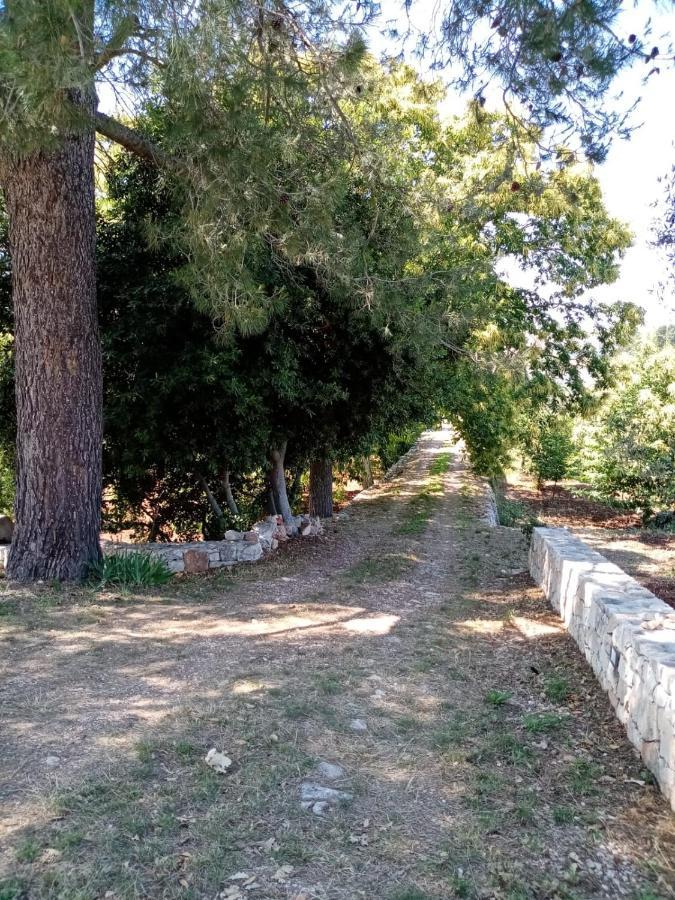 Il Trullo E Il Fortino Alberobello Exterior foto