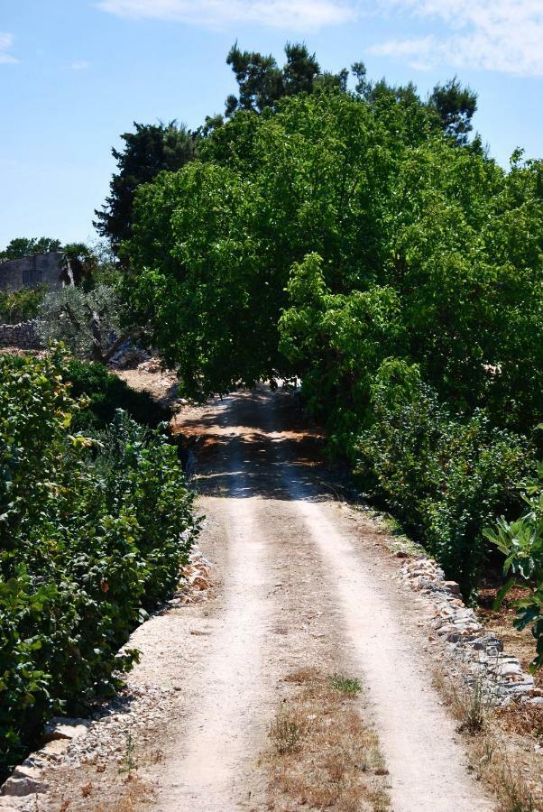 Il Trullo E Il Fortino Alberobello Exterior foto